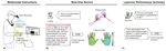 Designing LLM-Powered Multimodal Instructions to Support Rich Hands-on Skills Remote Learning: A Case Study with Massage Instructors and Learners